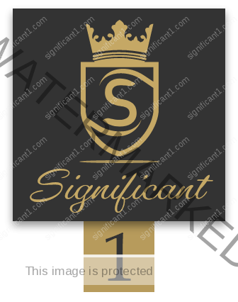 Significant One Logo